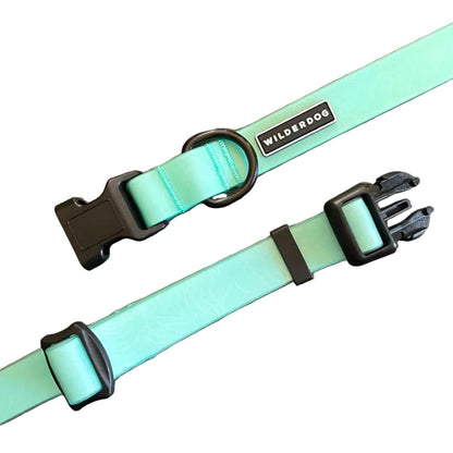 Seafoam Waterproof Collar
