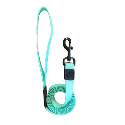 Seafoam Waterproof Leash