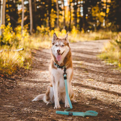 Seafoam Waterproof Leash