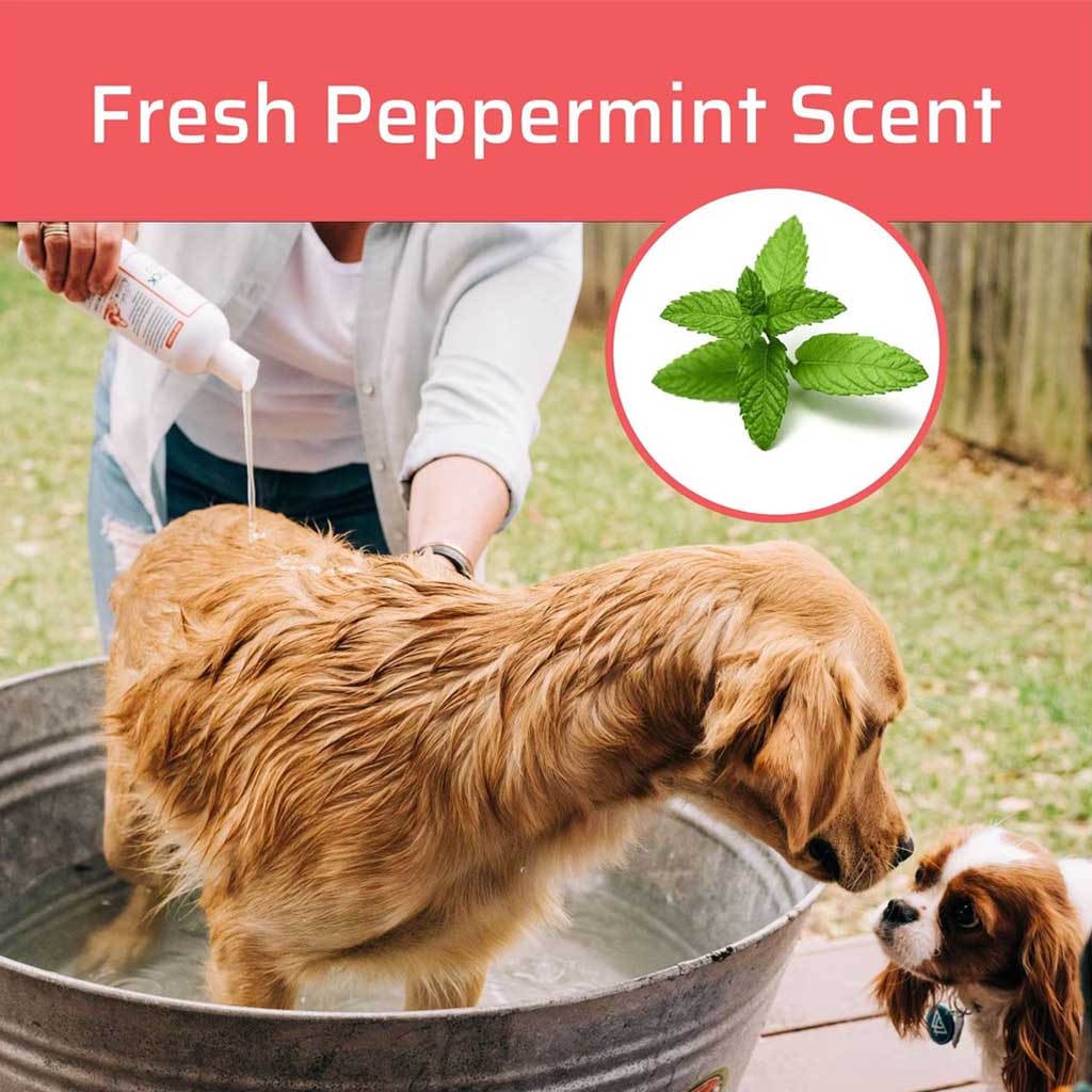 Fresh peppermint scent