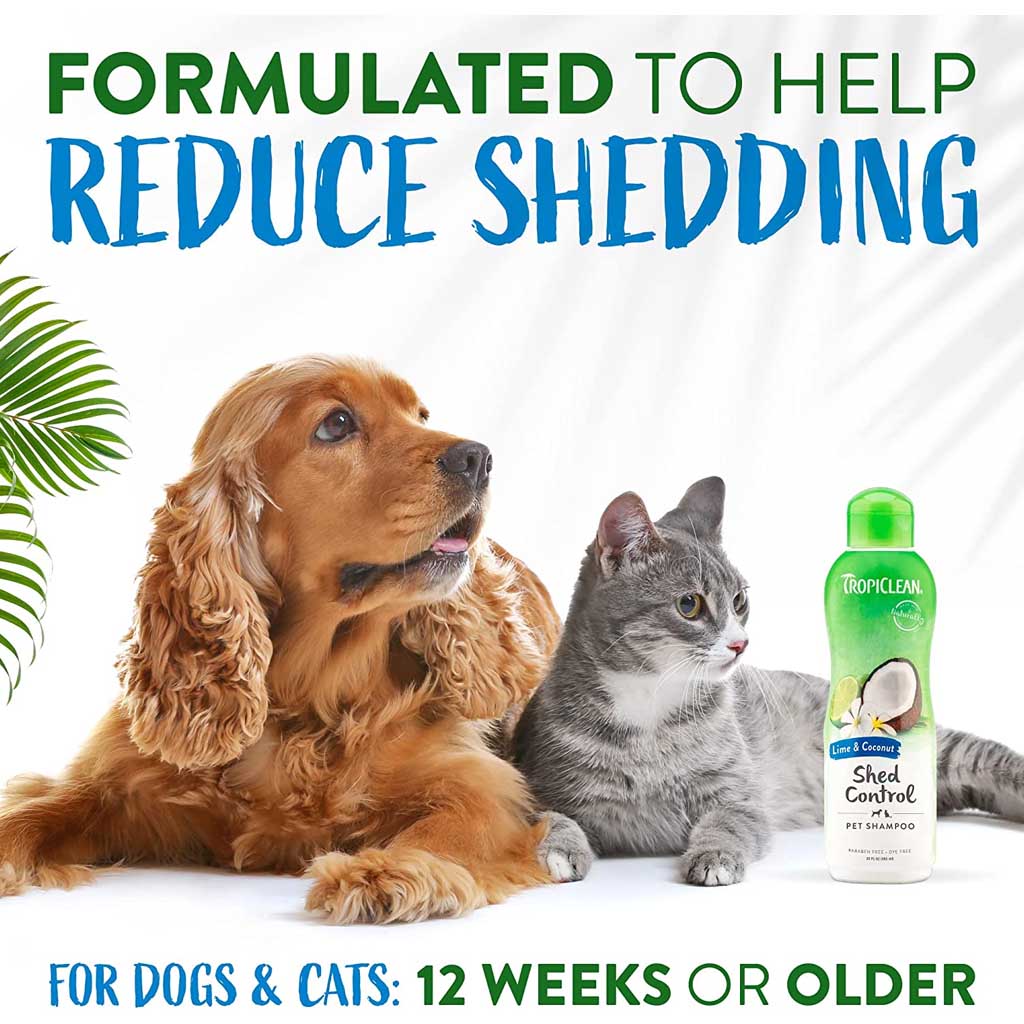 Shed Control Lime & Coconut Shampoo 20oz.