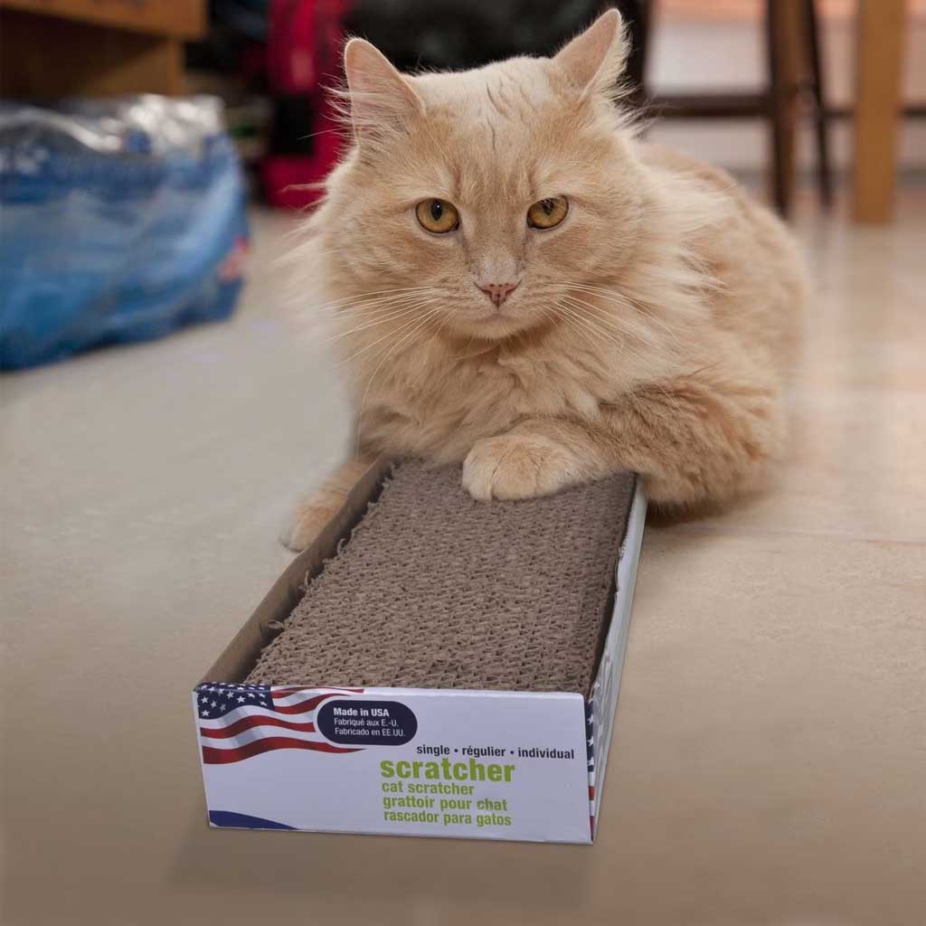 Cat using Narrow Scratcher 