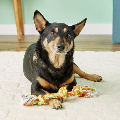 Black and tan dog resting with an orange, yellow, and green Mammoth three-knot rope toy between its front paws.