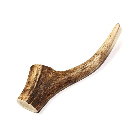 Royal Brown Whole Deer Antler