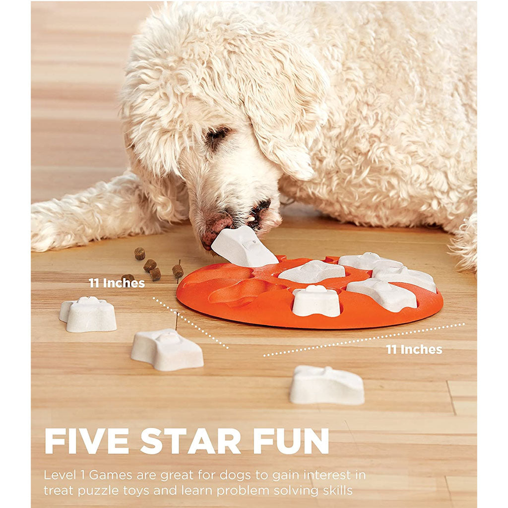 Cream-colored curly-haired dog lifting a white bone cover from the orange Dog Smart puzzle; dimension labels show 11 by 11 inches.
