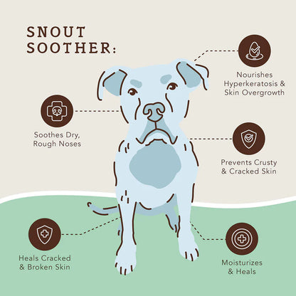 Snout Soother benefits graphic with an illustrated dog and callouts about moisturizing dry, rough, and cracked noses.
