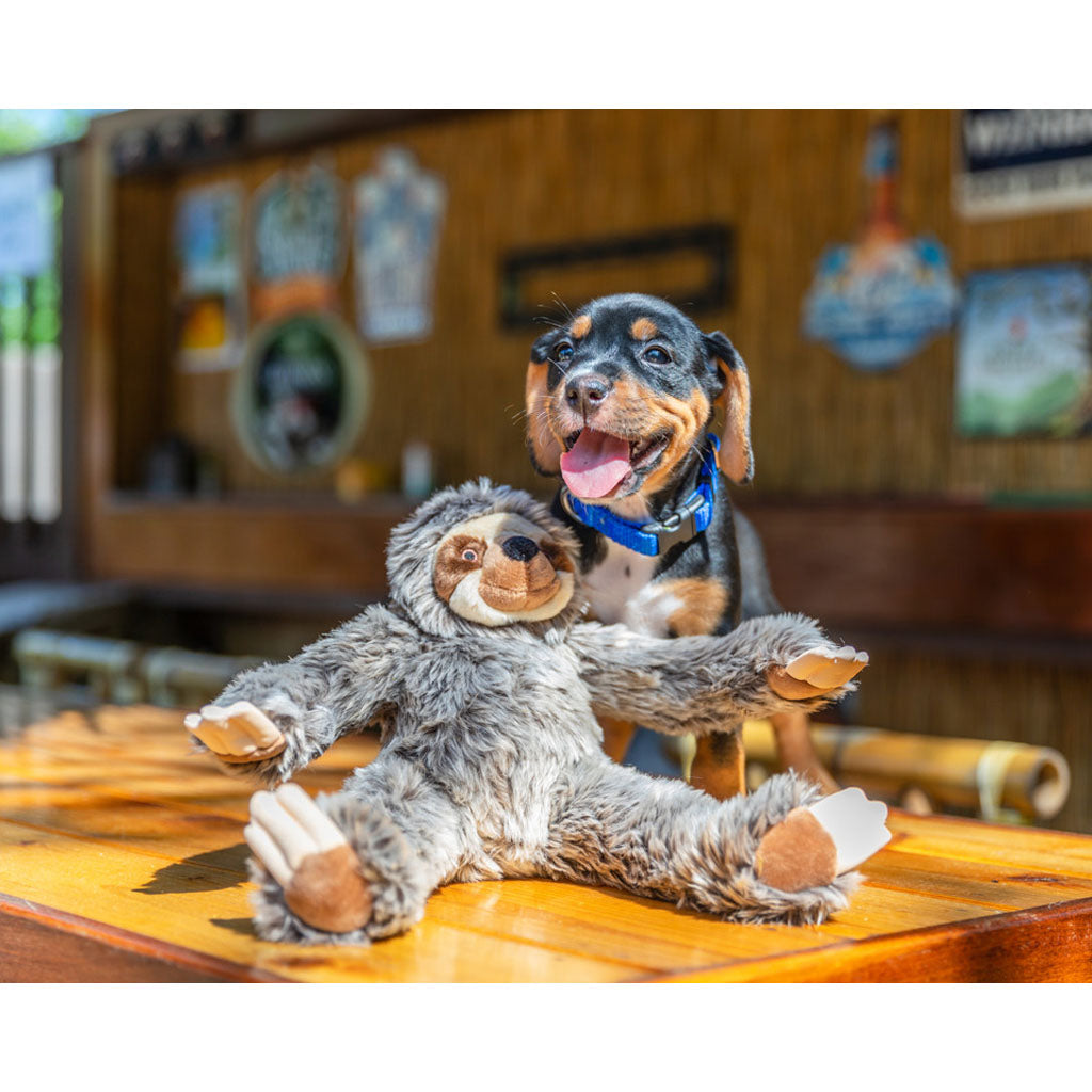 Black and tan dog behind a Fluff & Tuff Sonny Sloth plush toy seated with its arms spread on a wooden table.