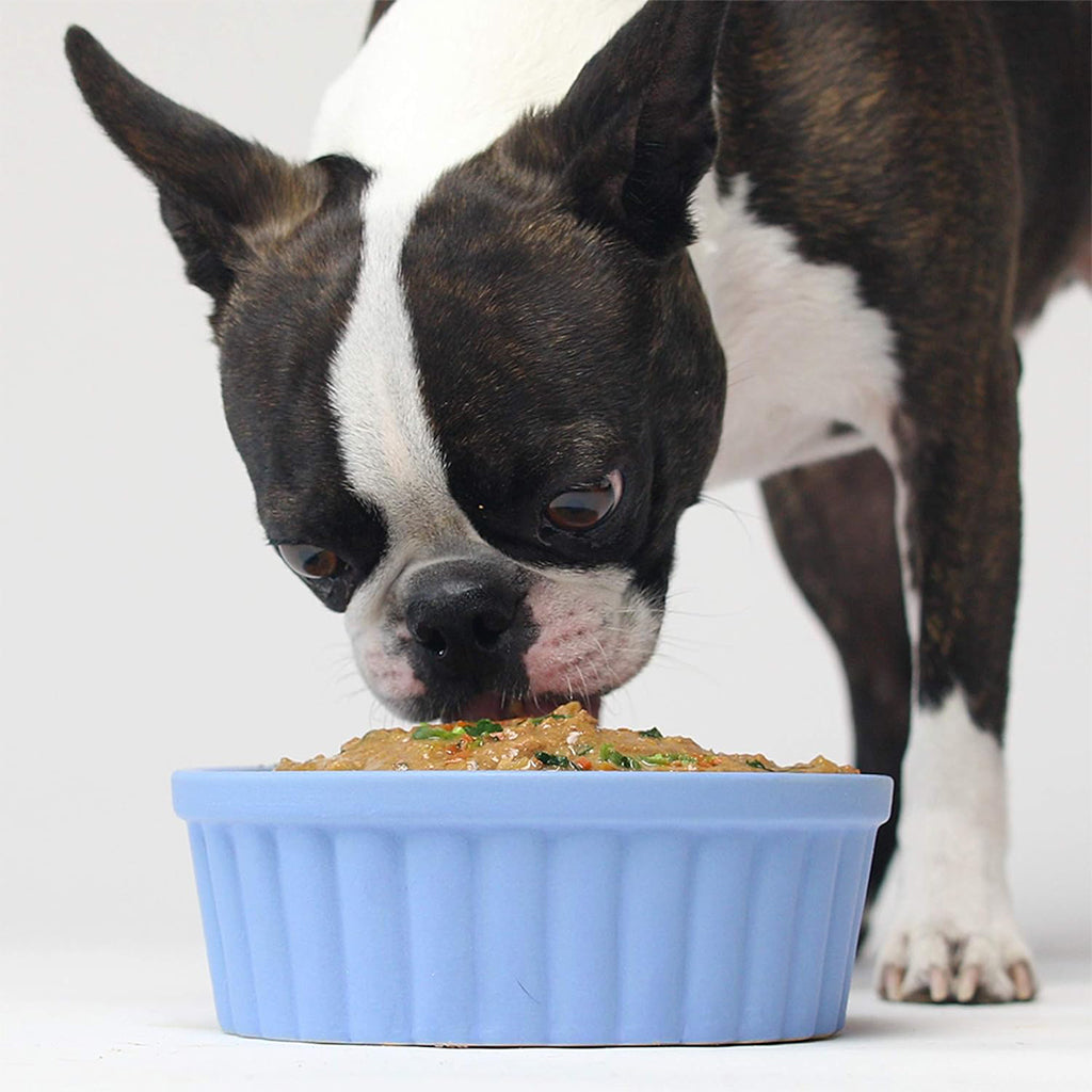 Dog eating Harvest Chicken Stew.