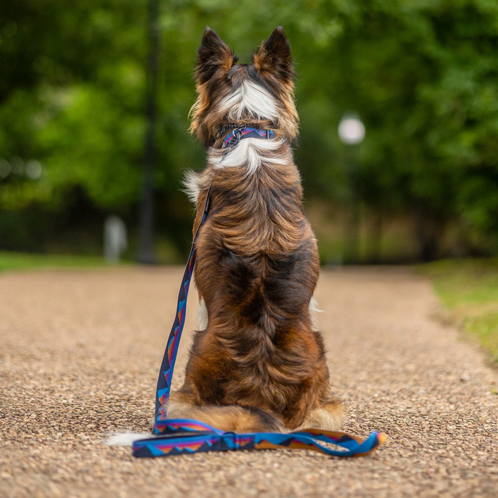 Cordillera Ultralight Leash