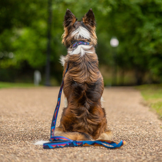 Cordillera Ultralight Leash