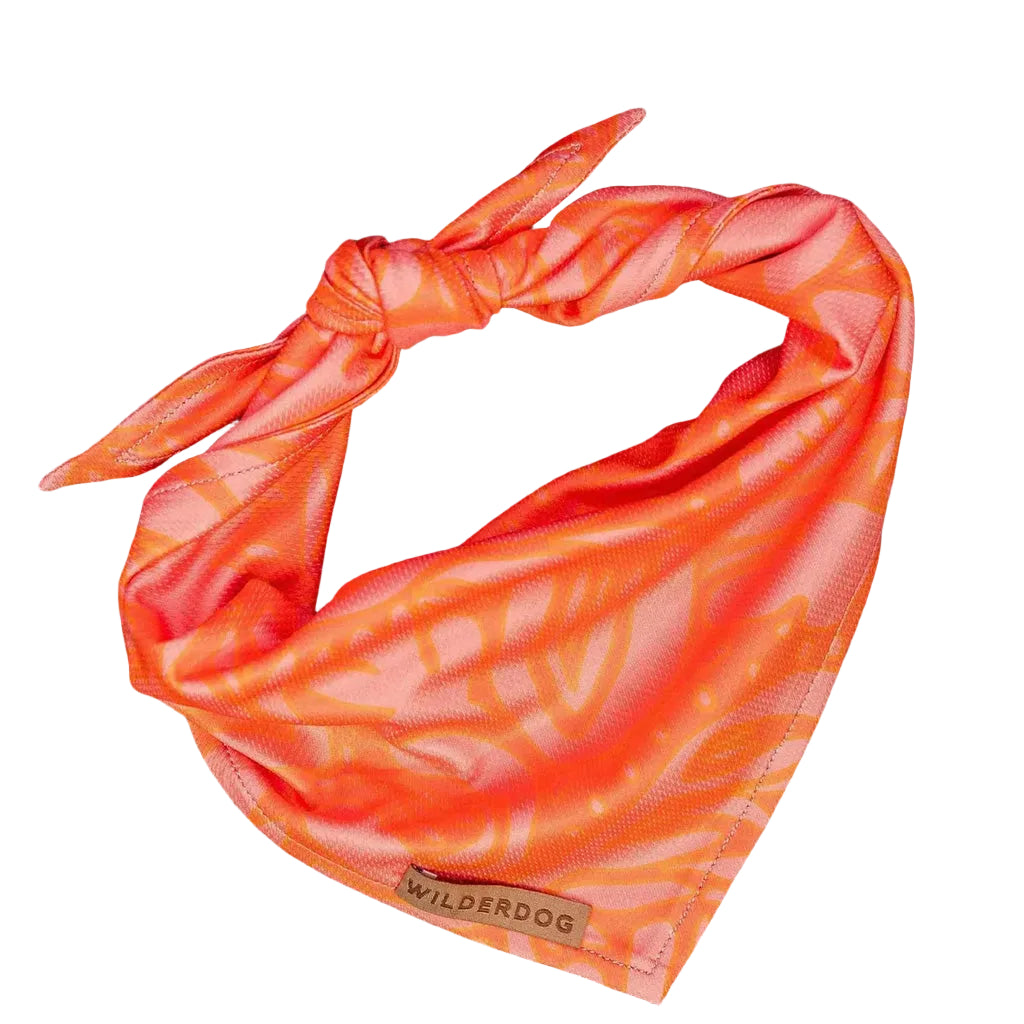 Papaya Bandana