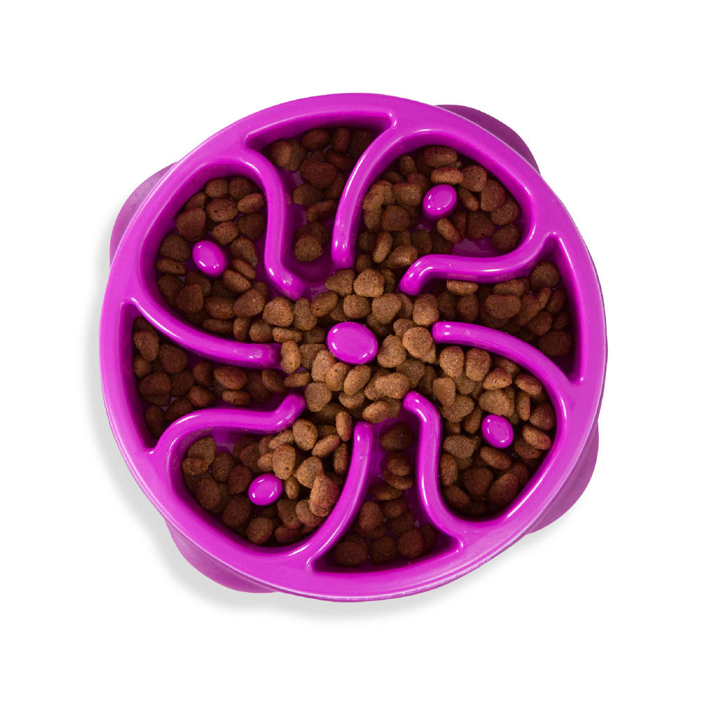 Top view of a purple Outward Hound Fun Feeder Slo Bowl with flower-shaped raised dividers and kibble between the petals.