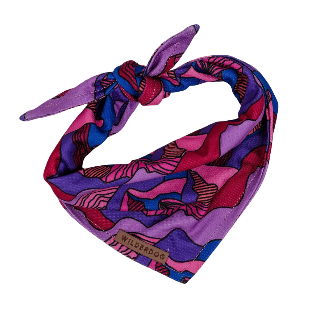 Wilderdog Summit Bandana 