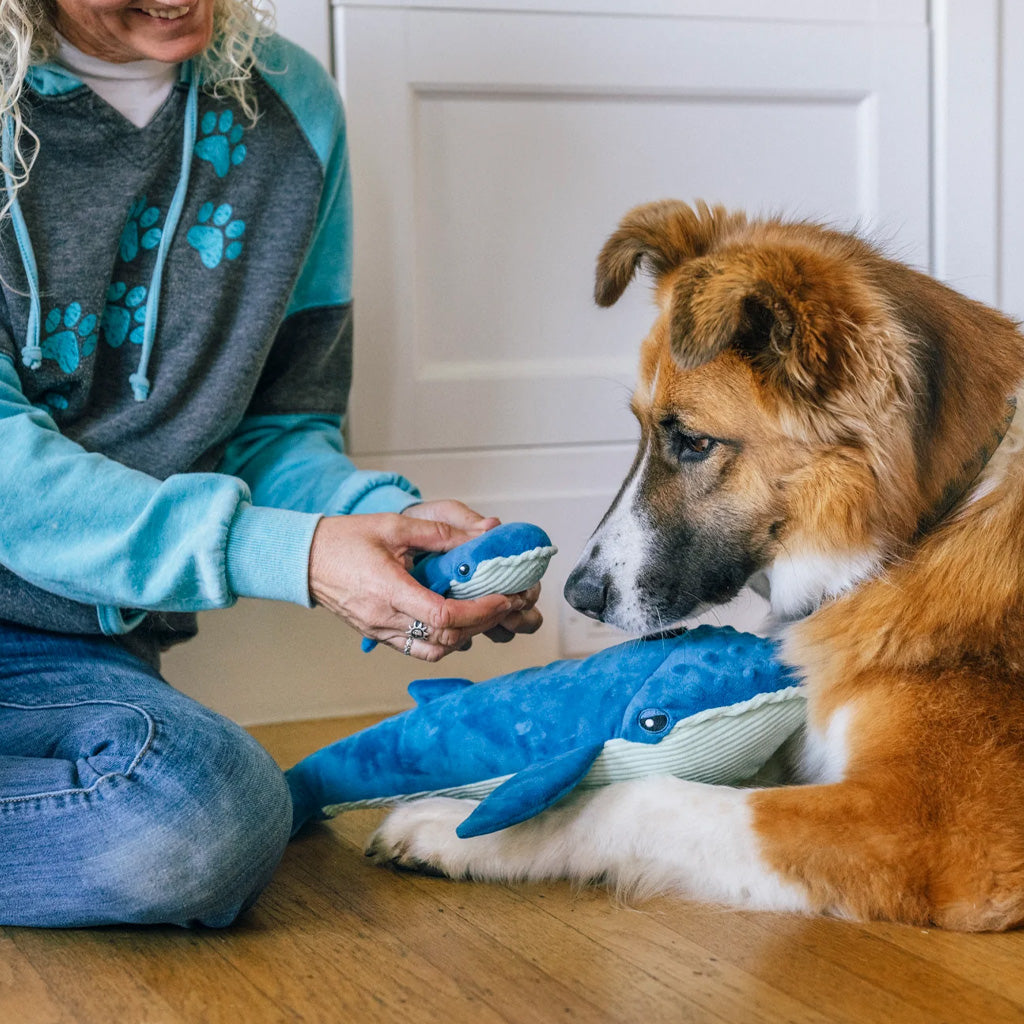 Big Blue & Baby Blue Plush Toy