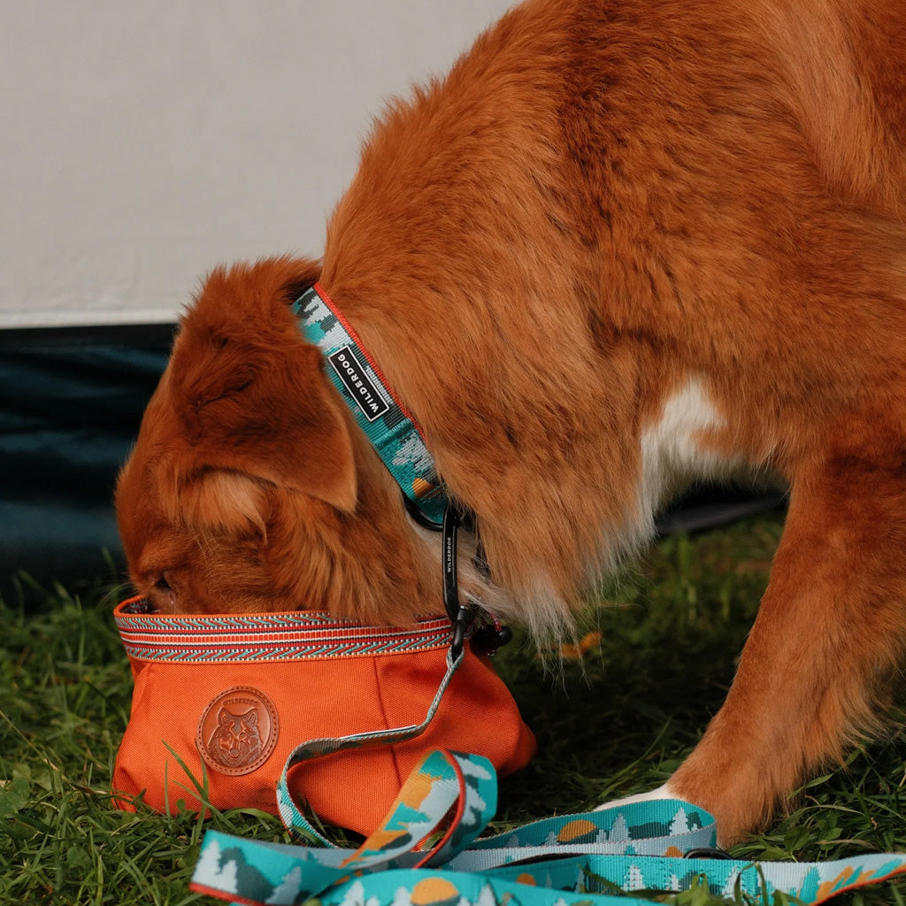 Tamarack Ultralight Collar