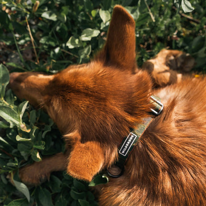 Camo Ultralight Collar