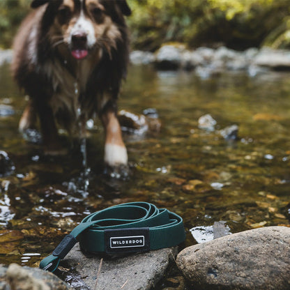 Cedar Waterproof Leash