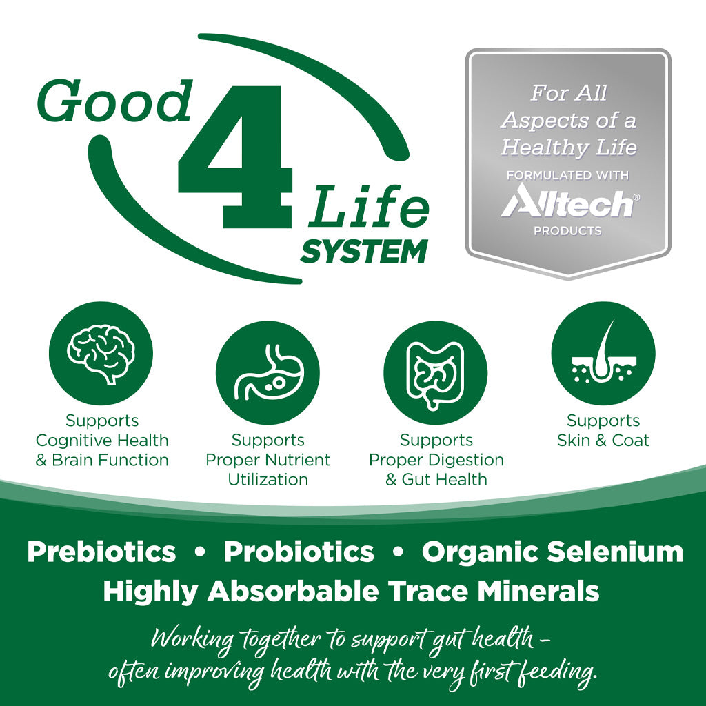 Good 4 Life System graphic listing prebiotics, probiotics, organic selenium, and trace minerals with brain, digestion, and skin-and-coat icons
