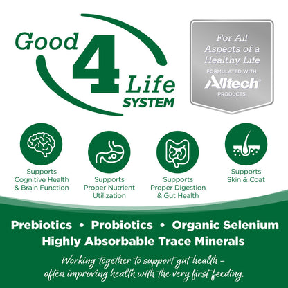 Good 4 Life System graphic listing prebiotics, probiotics, organic selenium, and trace minerals with brain, digestion, and skin-and-coat icons