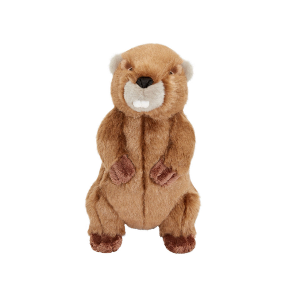 Front view of Fluff & Tuff Troy Beaver plush dog toy showing its black nose, white teeth and brown paws.