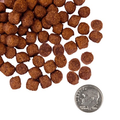 Fromm Nutritionals Sensitive Skin & Stomach salmon and whole oats kibble beside a quarter for size comparison