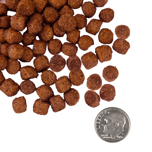 Fromm Nutritionals Sensitive Skin & Stomach salmon and whole oats kibble beside a quarter for size comparison