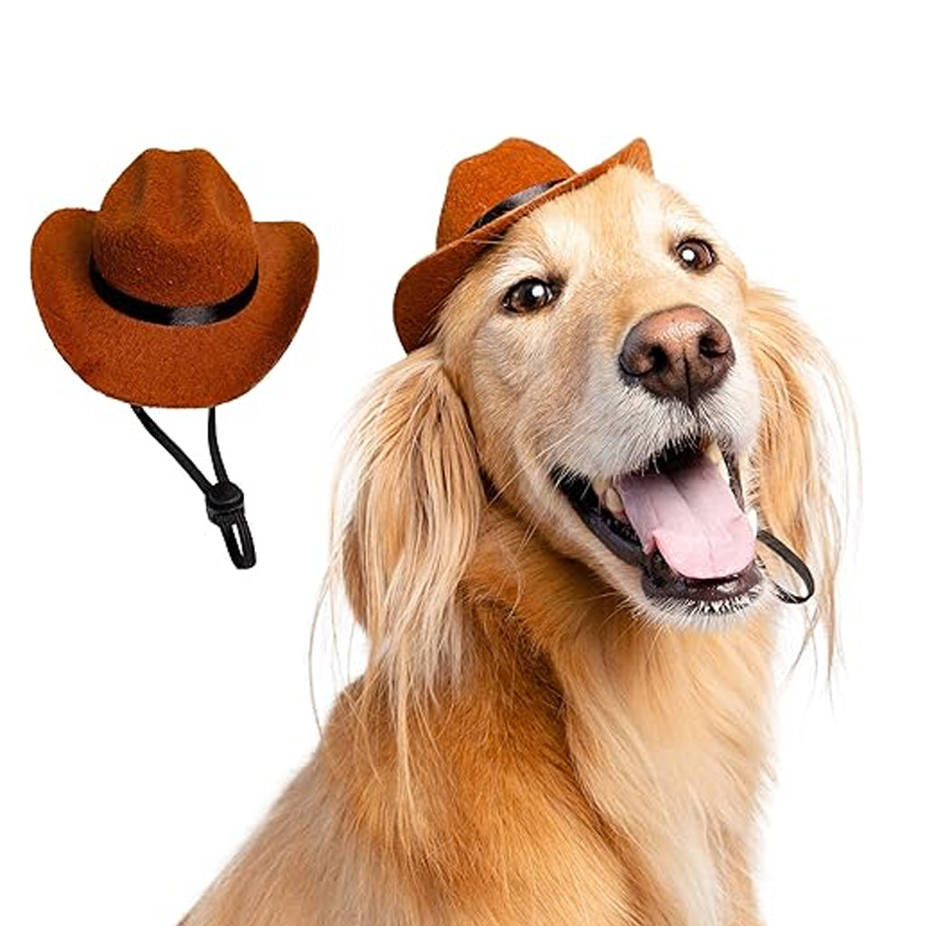 Dog wearing Cowboy Hat Costume