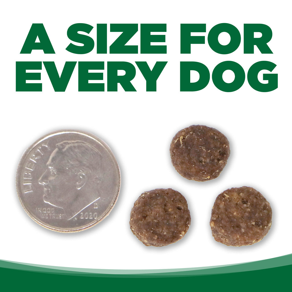 NutriSource Turkey and Rice kibble size graphic showing three round brown pieces beside a U.S. dime