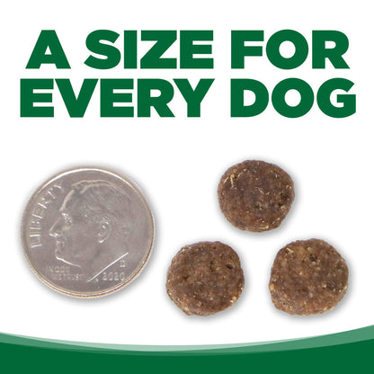 NutriSource Turkey and Rice kibble size graphic showing three round brown pieces beside a U.S. dime