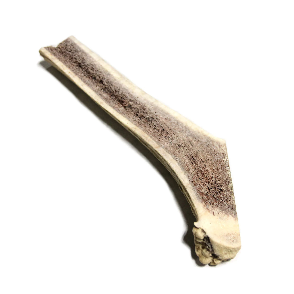 Split Elk Antler