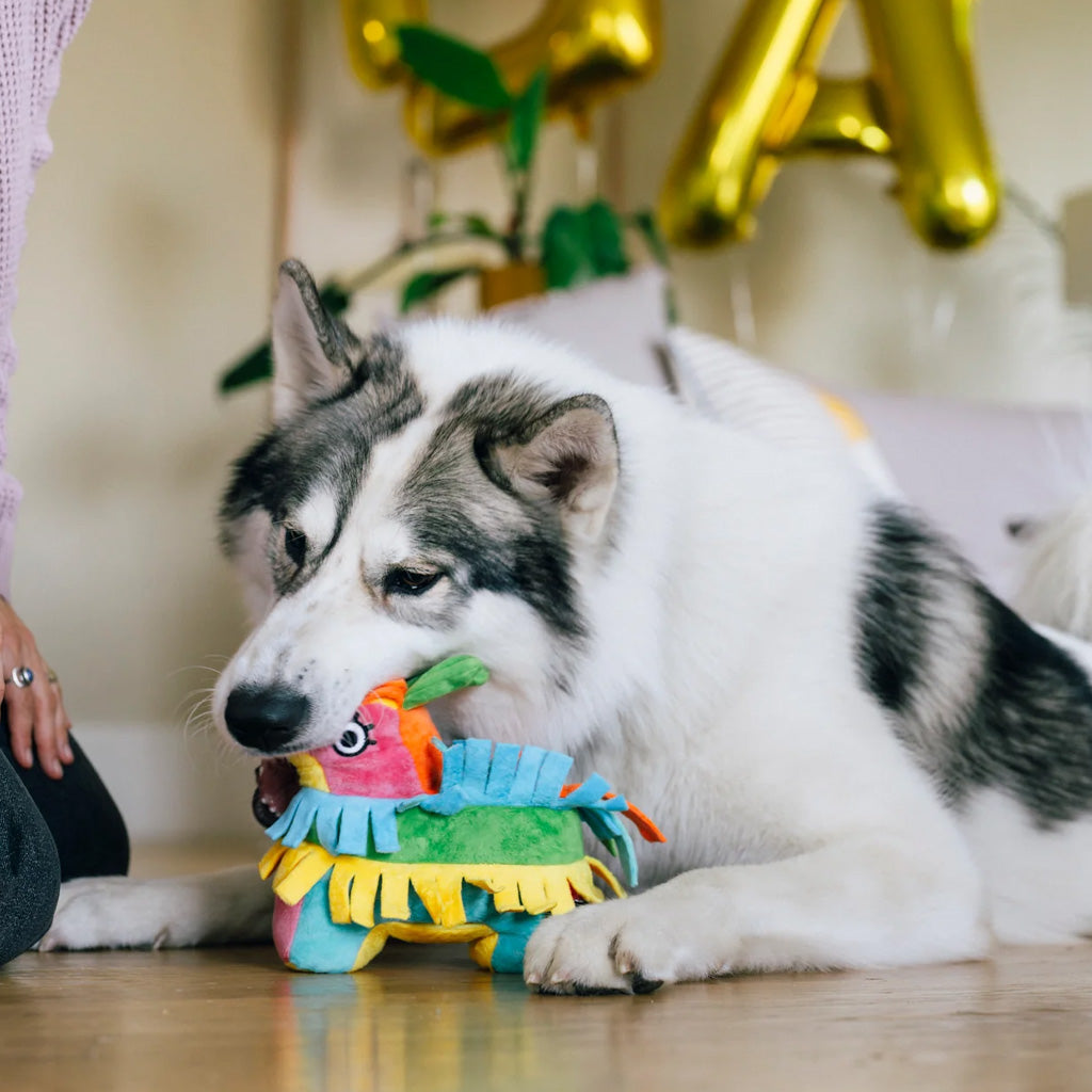 Fiesta Fetch Pinata Plush Toy