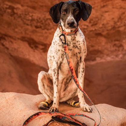 Moab Ultralight Leash