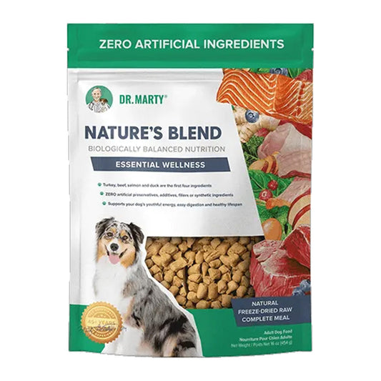 Front of a green and white Dr. Marty Nature’s Blend Essential Wellness freeze-dried raw dog food bag with a dog and food pieces visible through the window.