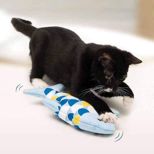 Cat playing with Groovy Fish