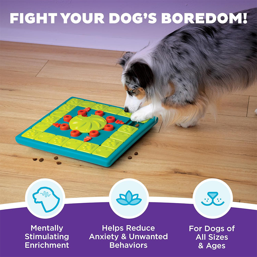 Fluffy merle dog pawing at the MultiPuzzle on a wood floor, with an infographic describing mental enrichment for dogs of all sizes and ages.
