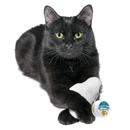 Black cat resting its paws over a white toy beside a jar of Dezi & Roo Cloud Nine silvervine powder.