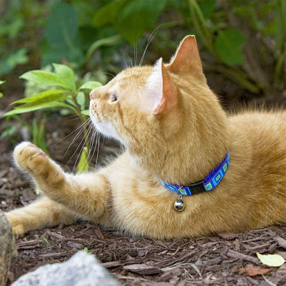 Orange tabby cat wearing a Lupine Pet Sea Glass collar with a silver bell while resting outdoors.