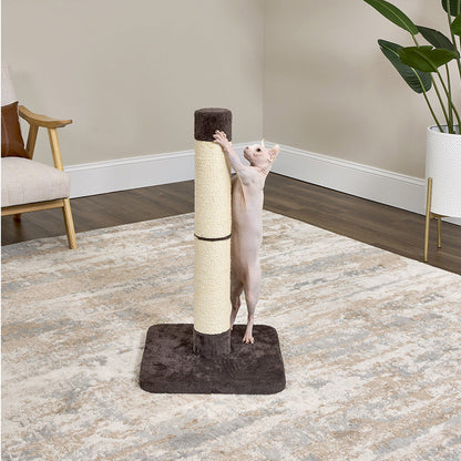 Hairless cat scratching at Feline Nuvo Brio 31.5-in Cat Scratching Post