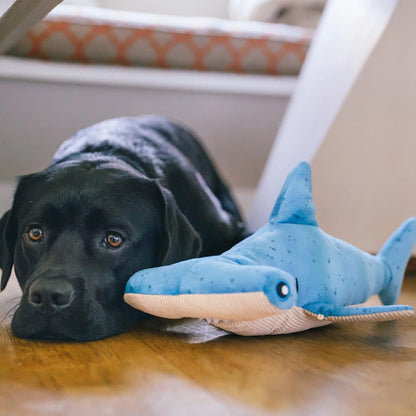 Black Labrador with Bonk the Hammerhead Shark Plush Toy