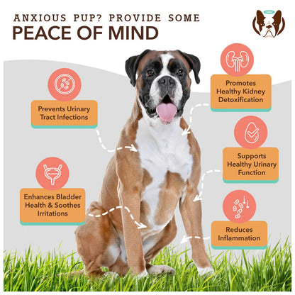 *Urinary & Bladder Supplement