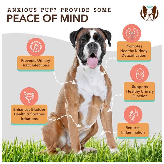 *Urinary & Bladder Supplement