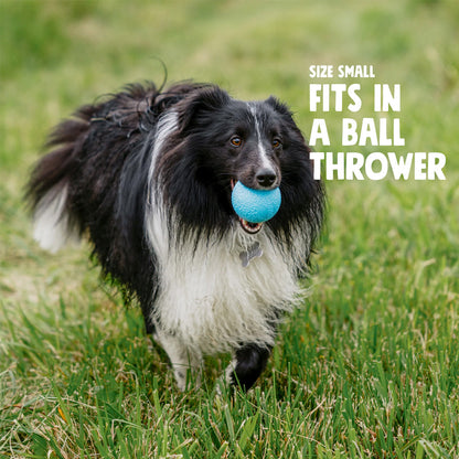 Dog playing with West Paw Boundr Ball 2 Pack 