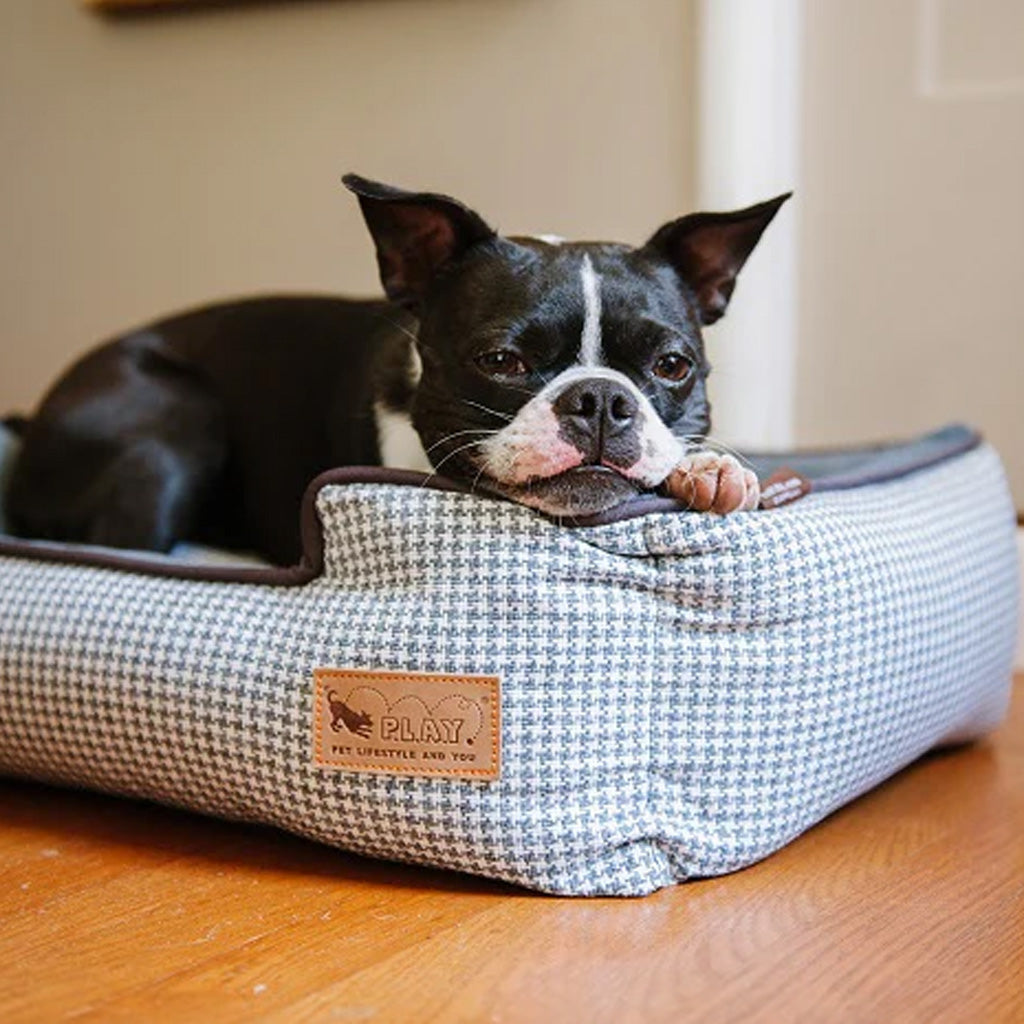 Dog lying in Houndstooth Blue/White Lounge Bed