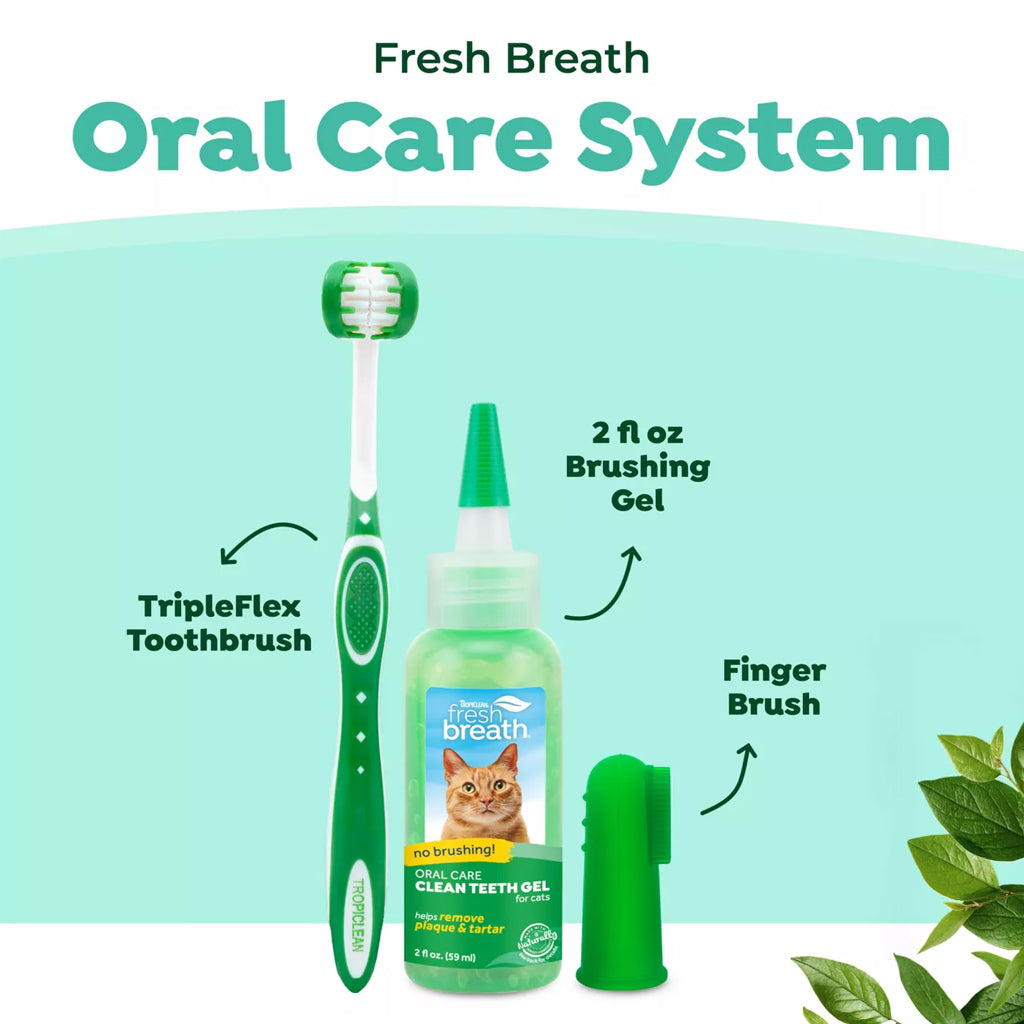 Fresh breath oral care system. 