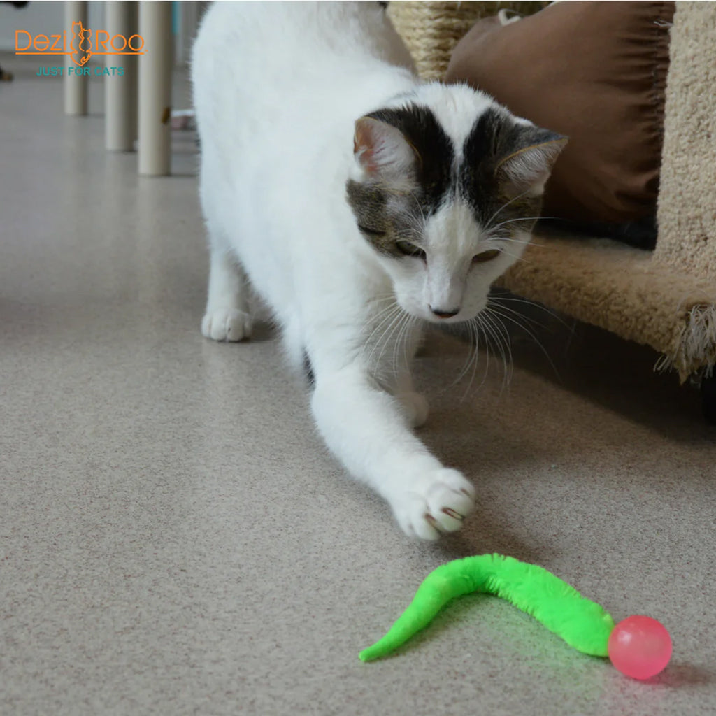 White and tabby cat reaching toward a Dezi & Roo Wiggly Ball with a green fuzzy tail and pink ball on carpet.