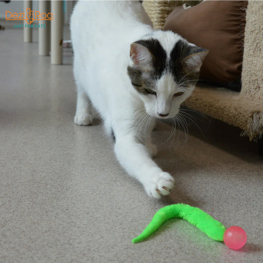 White and tabby cat reaching toward a Dezi & Roo Wiggly Ball with a green fuzzy tail and pink ball on carpet.