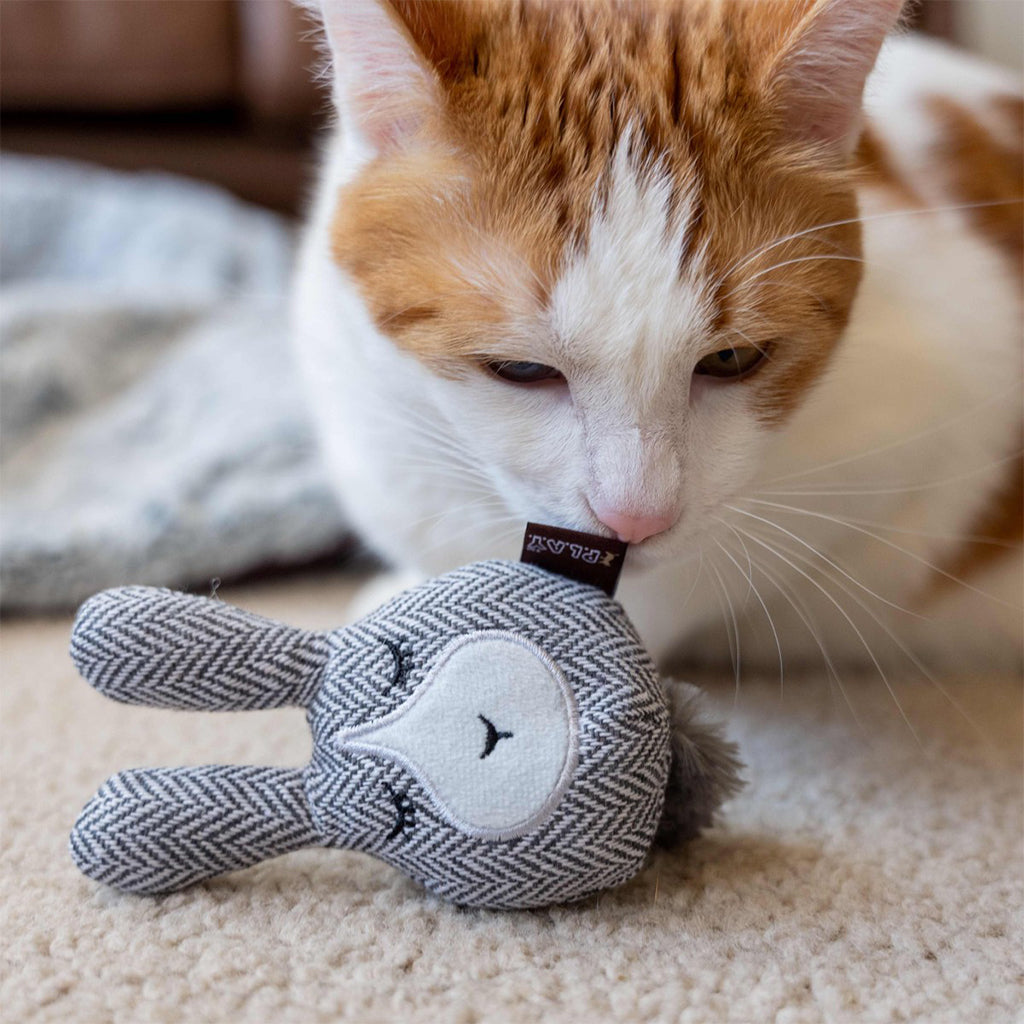 Cat playing with Feline Frenzy Foxsy & Hopsy Catnip Toy