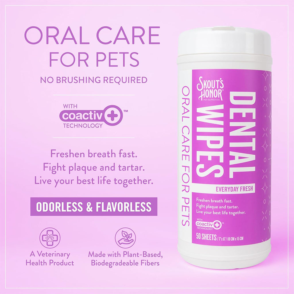 Brushless oral care made with plant based fibers. 