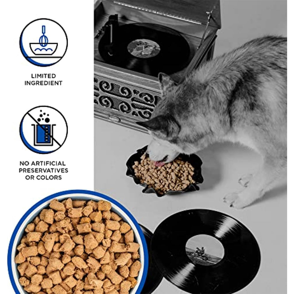 Husky eating BIXBI RAWBBLE Turkey Recipe from a bowl, with a close-up of freeze-dried pieces and limited-ingredient and no artificial preservatives or colors callouts.