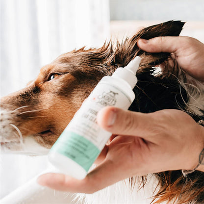 Probiotic Ear Cleaner for Dogs 4oz